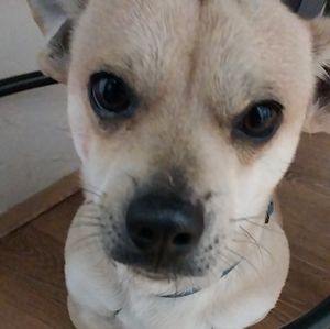 Meet your Posher, Jairo